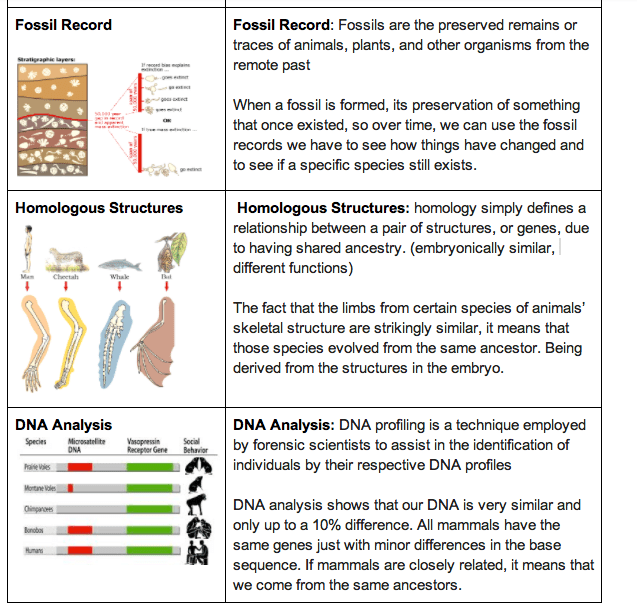 Types of Evidence for Evolution